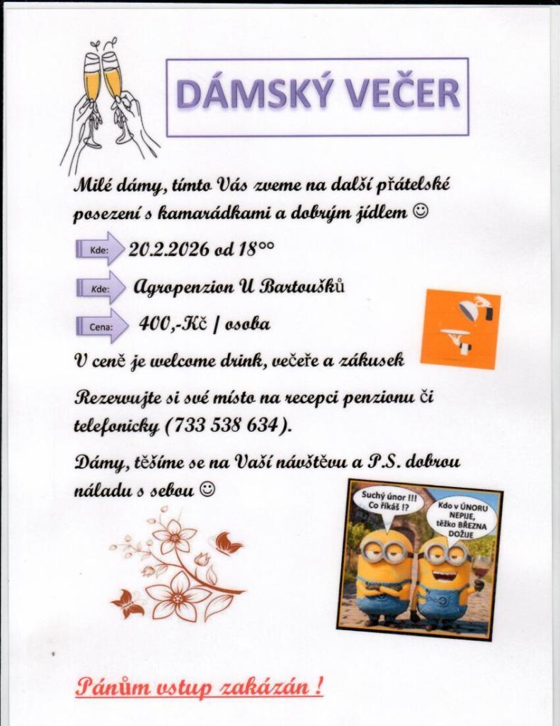 Dámský večer
